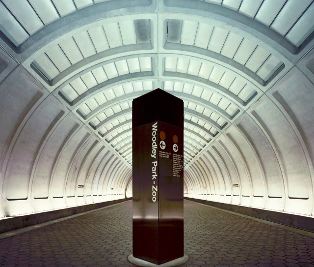 Washington 7