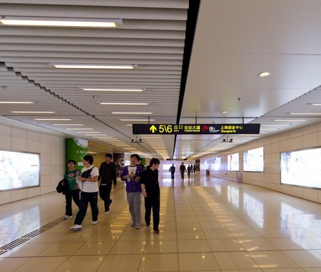 上海 11