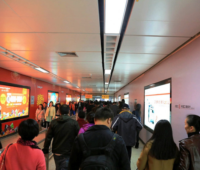 Shenzhen 8